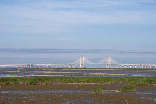 泉州湾跨海大桥风采