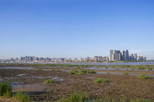 城市河口湿地生态风光