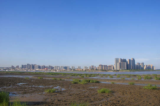 城市天际线河口湿地风情