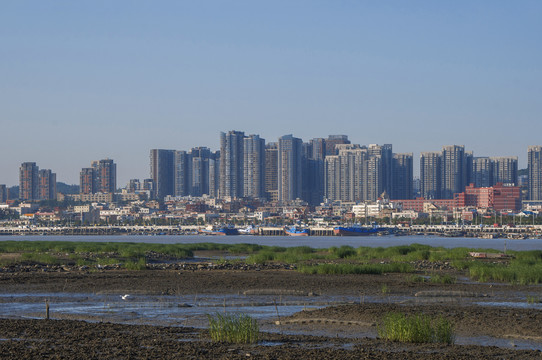 泉州湾河口湿地渔港风情