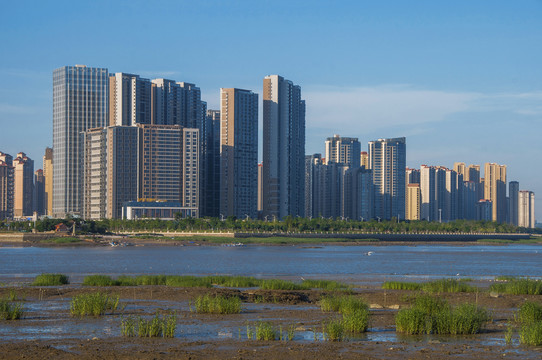 泉州东海湾城市天际线