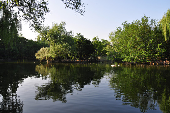 上海動(dòng)物園