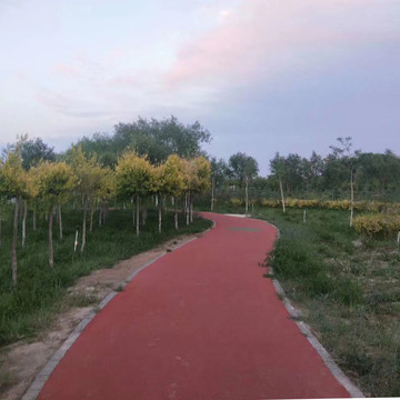 鄉村小路