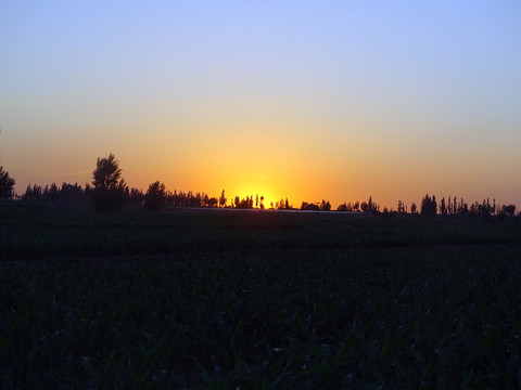 夕阳下的田野