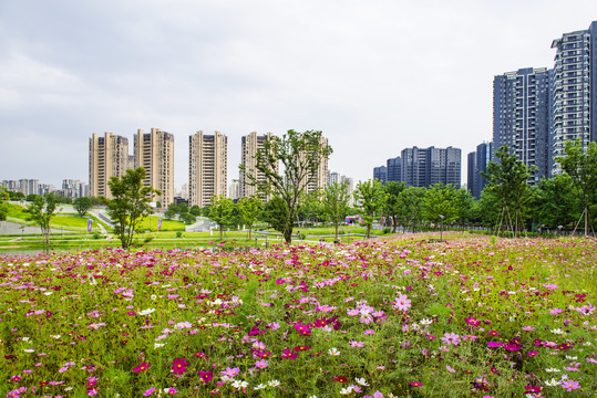 住宅小区景观设计