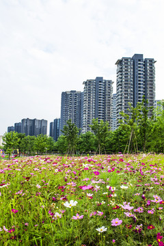 住宅小区景观设计