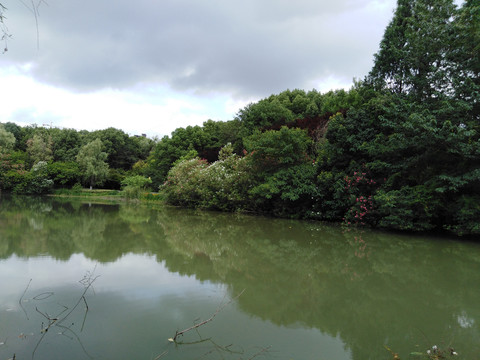 池塘岸边