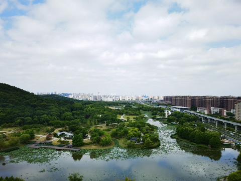 城市的夏天