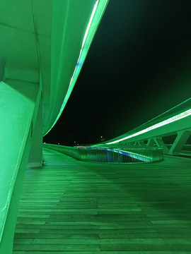 网红桥夜景风光