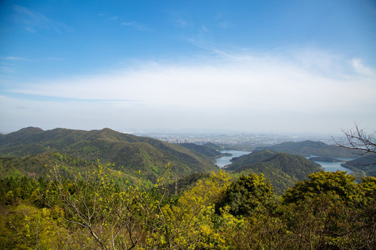 宁波达蓬山风光