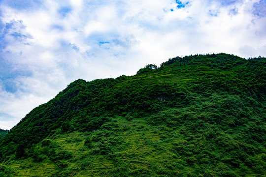 绿水青山