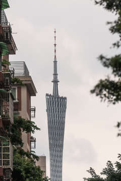 广州塔特写