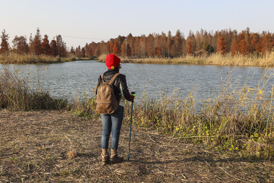 一个女人在森林中徒步旅行背影