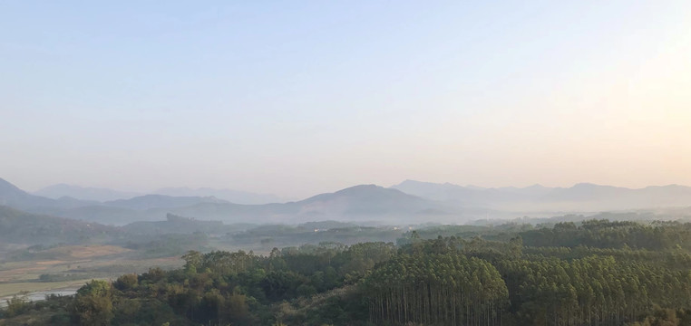 森林群山晨雾