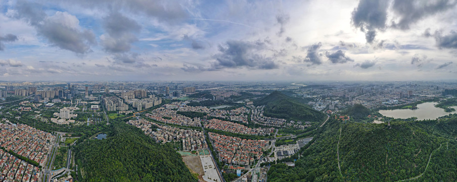 顺德大良全景