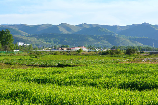 乡村风光