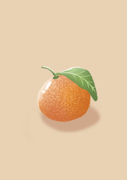 橘子插畫