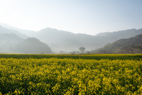 江西婺源篁岭景区