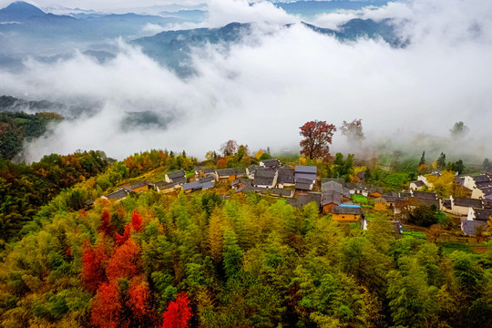 金龙山风光