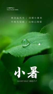小暑水珠海報(bào)