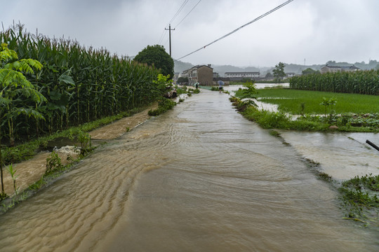 暴雨洪水水灾