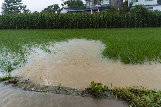 暴雨洪水水灾