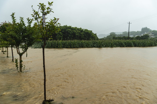 暴雨洪水水灾