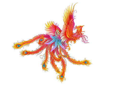 鳳凰插畫