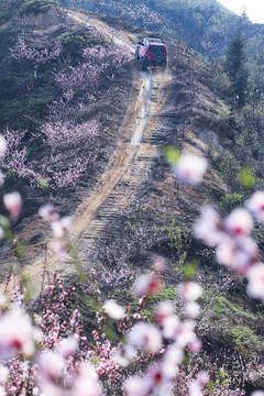 春天越野