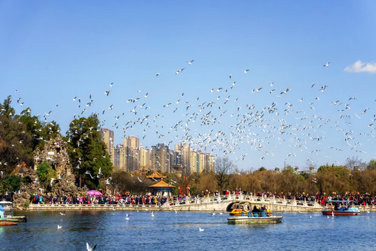 昆明大观园中式园林风景