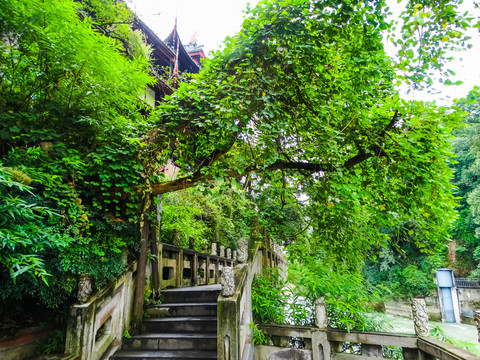 都江堰花洲栈道