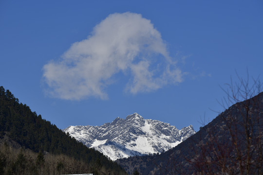 雪山浮云