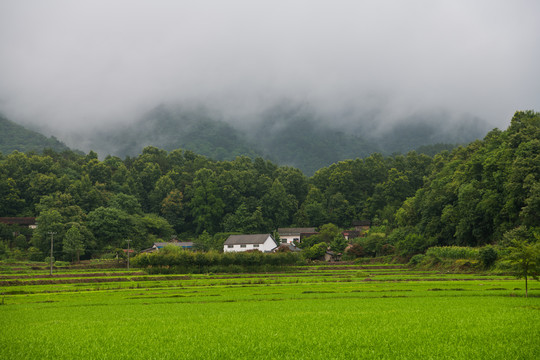 田园风光