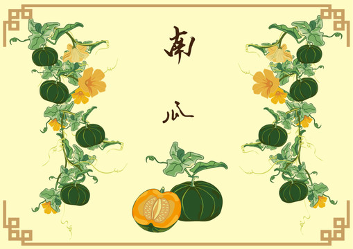 貝貝南瓜包裝插畫