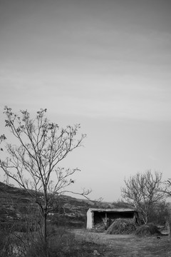 甘肃天水乡村风景