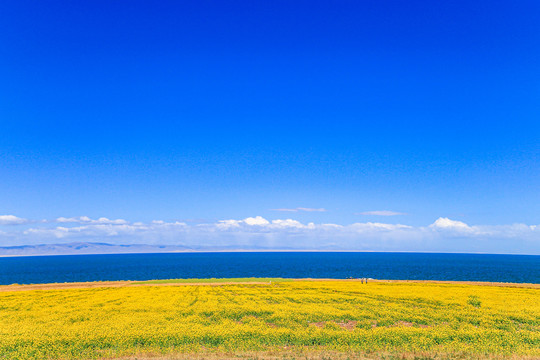 青海湖