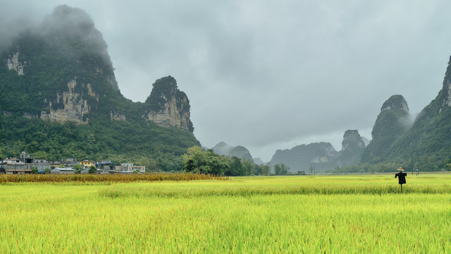 广西大新明仕田园