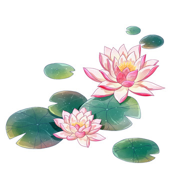 十二花令蓮花