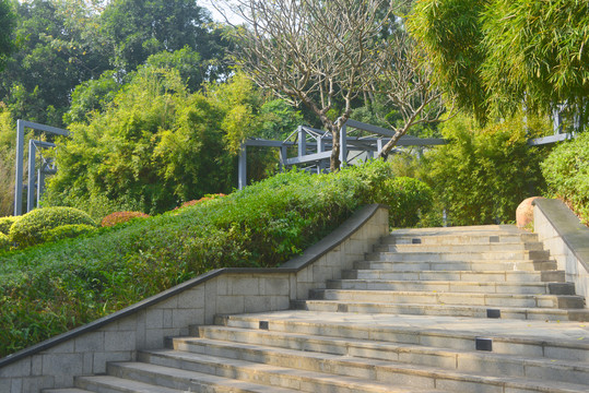 深圳园博园山海龙岗生态家园