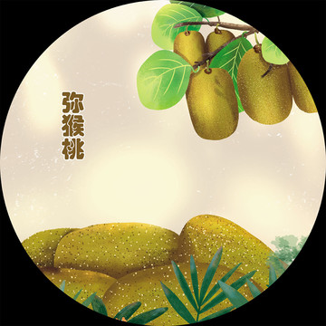 彌猴桃包裝插畫