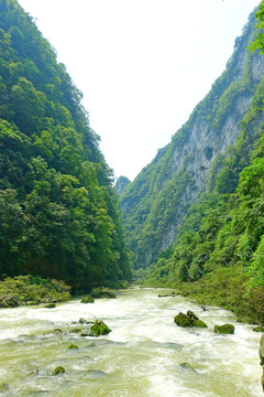 貴州天生橋