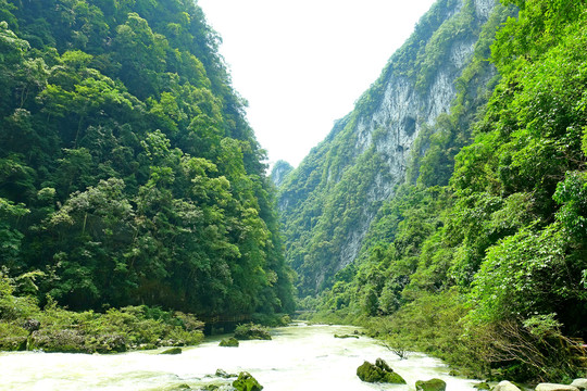 貴州天生橋