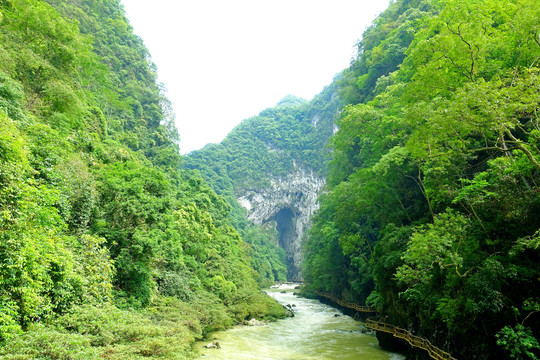 荔波大七孔