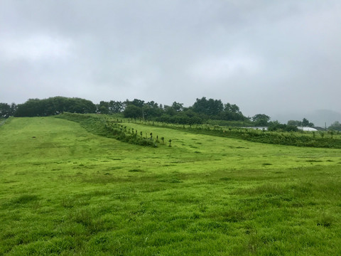 九花沟滑草场