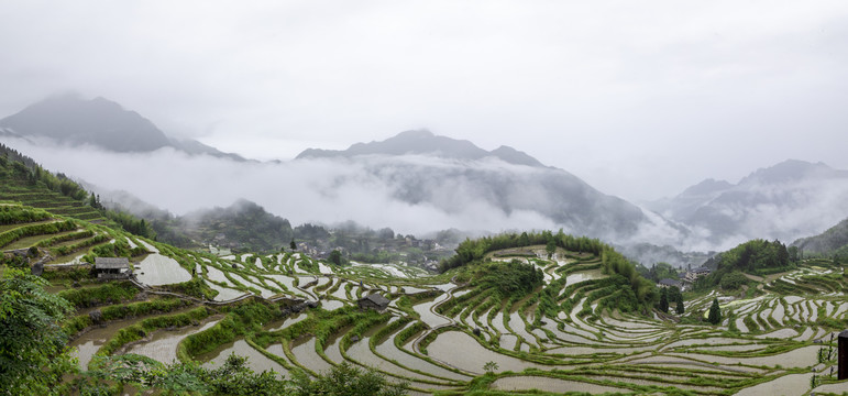 江南高山梯田稻田烟雨朦胧风光