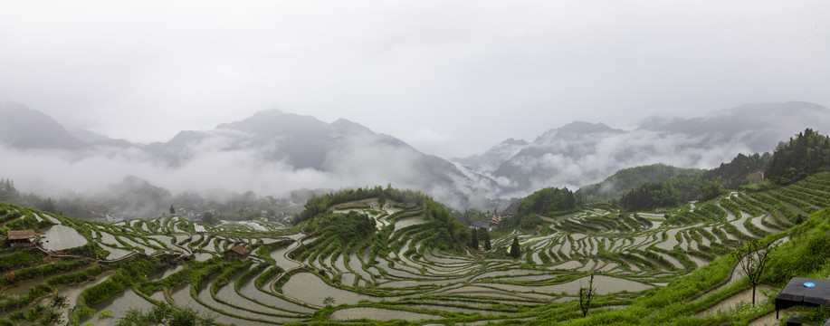 江南高山梯田稻田烟雨朦胧风光