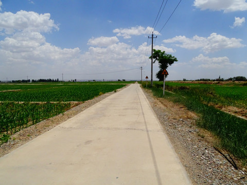 田园公路天空