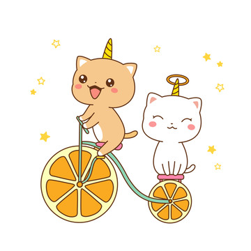 快樂的貓貓