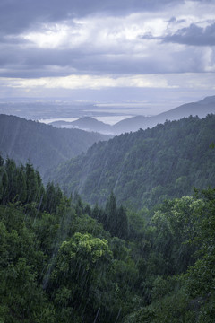 山雨