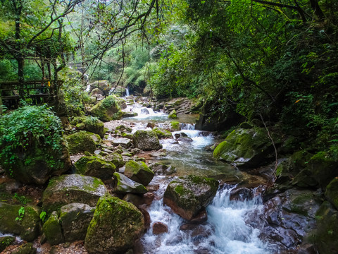 龙隐峡清泉